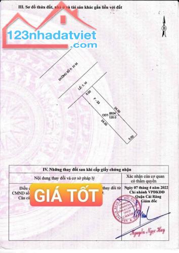 4239672 ảnh đại diện 2