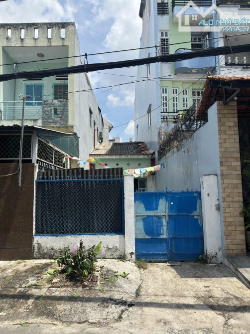 4239731 ảnh đại diện 1