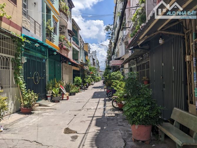 4240479 ảnh đại diện 1