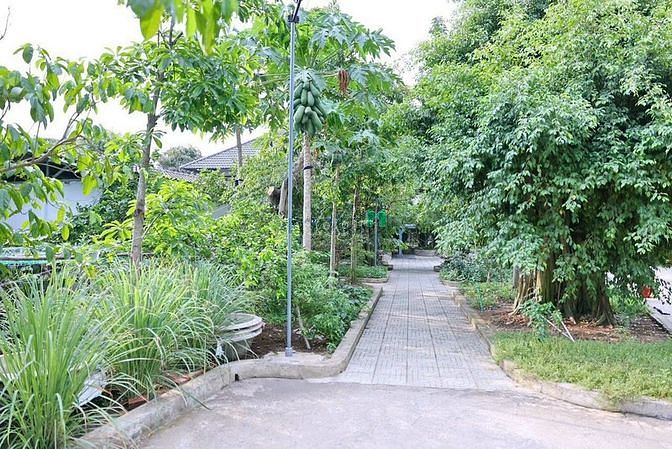 4239952 ảnh đại diện 1