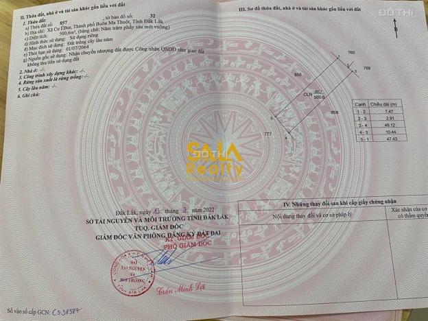 4240524 ảnh đại diện 2
