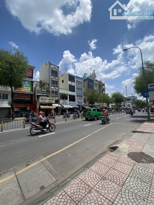 4241453 ảnh đại diện 1