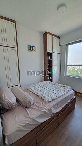4241552 ảnh đại diện 1
