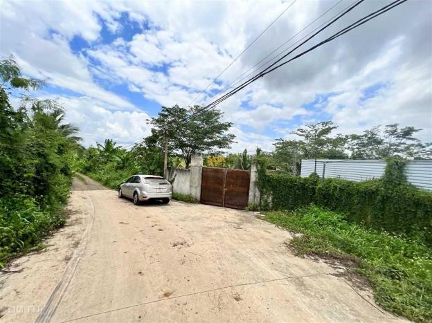 4240520 ảnh đại diện 2