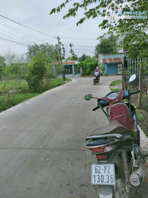 4243209 ảnh đại diện 1