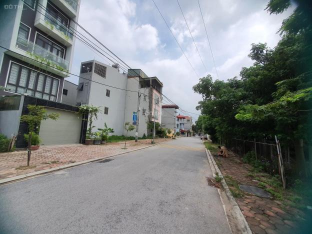 4243414 ảnh đại diện 2