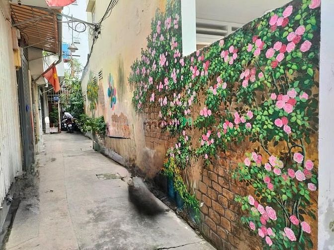 4243946 ảnh đại diện 1