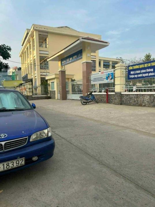 4242437 ảnh đại diện 1