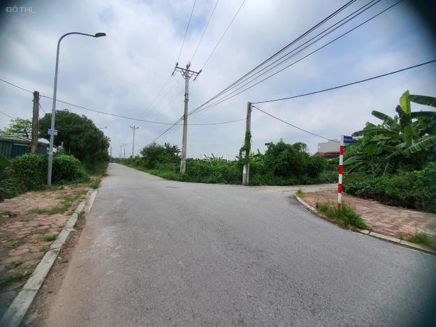 4243414 ảnh đại diện 1