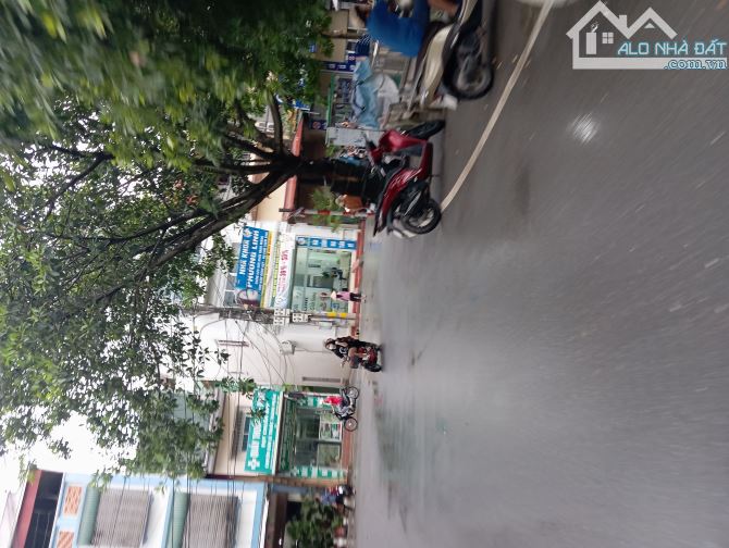 4244156 ảnh đại diện 1