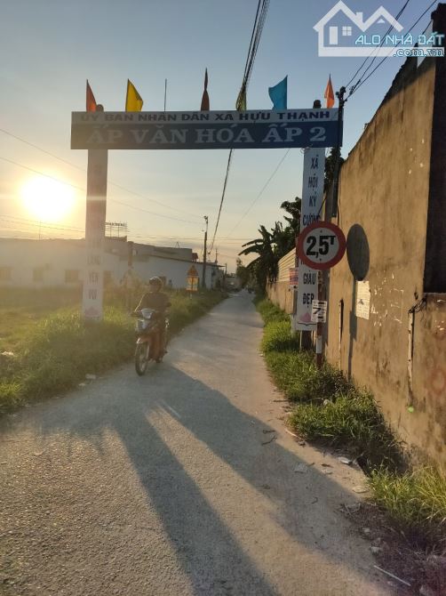 4243201 ảnh đại diện 2