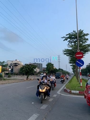 4244271 ảnh đại diện 1