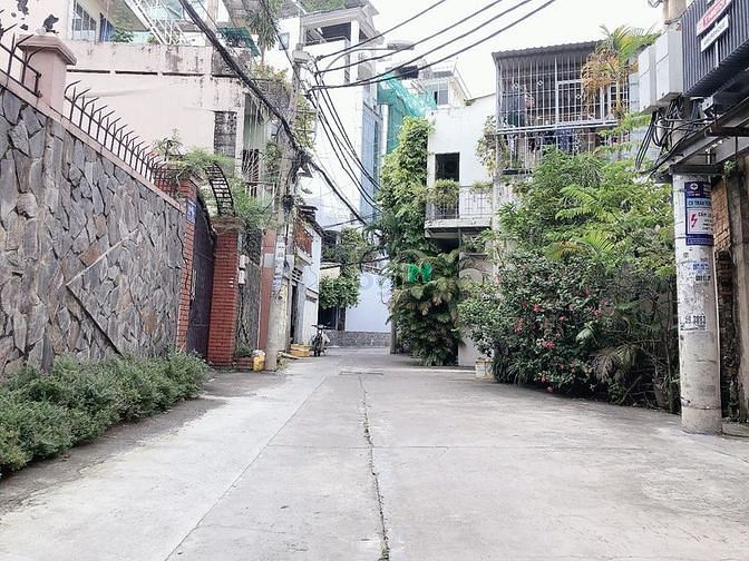 4246010 ảnh đại diện 2