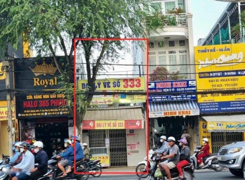 4242446 ảnh đại diện 1