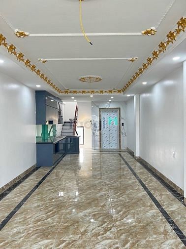 4243649 ảnh đại diện 1