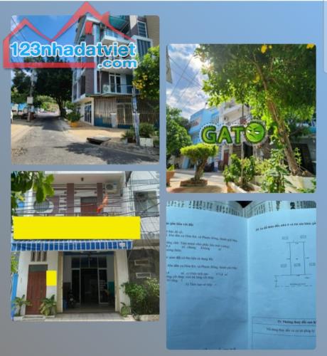 4245762 ảnh đại diện 1