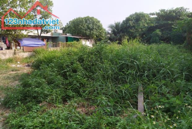4243085 ảnh đại diện 2