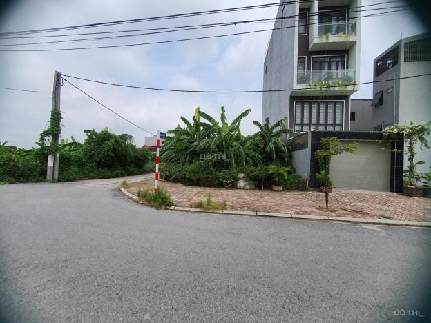 4243414 ảnh đại diện 1