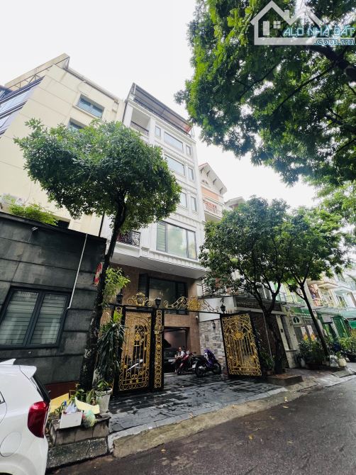 4243168 ảnh đại diện 1