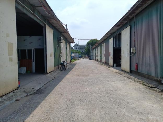 4244363 ảnh đại diện 1