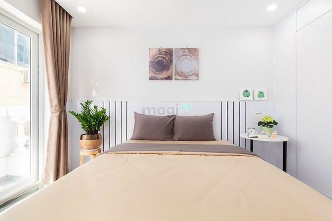 4244970 ảnh đại diện 2