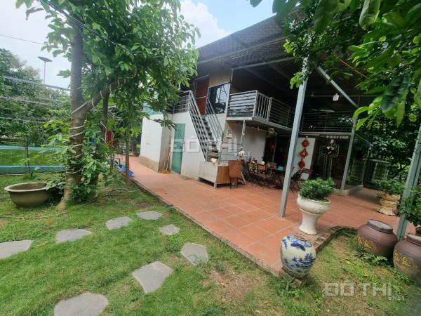 4244351 ảnh đại diện 1