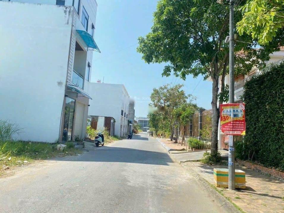 4242447 ảnh đại diện 1