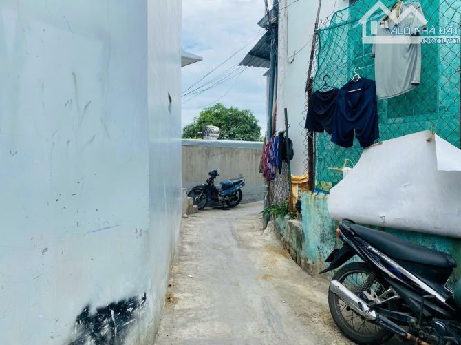 4242508 ảnh đại diện 1