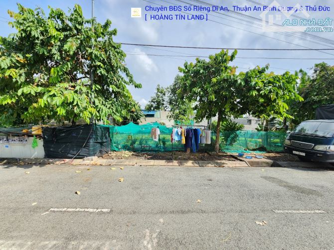 4242977 ảnh đại diện 1