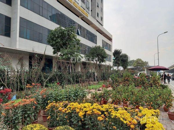 4244621 ảnh đại diện 1