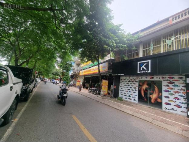 4244346 ảnh đại diện 1