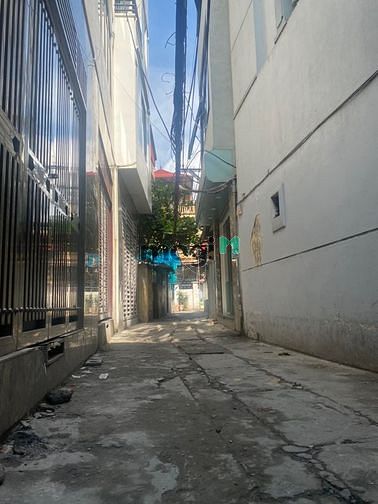 4244270 ảnh đại diện 1