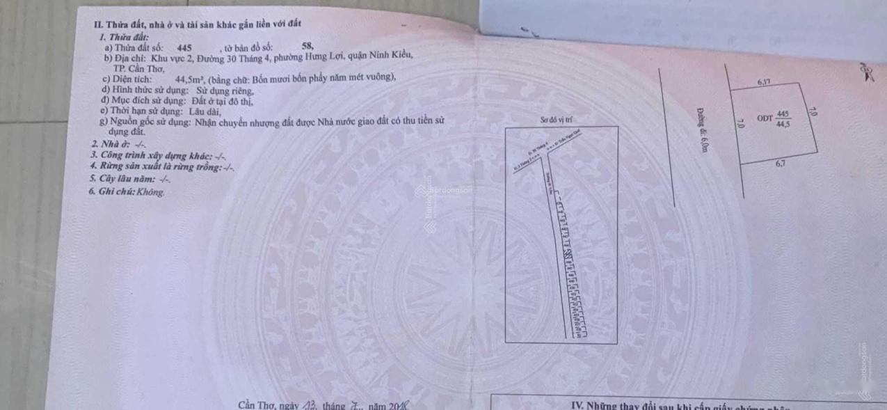 4242447 ảnh đại diện 2