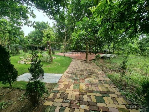 4244365 ảnh đại diện 1