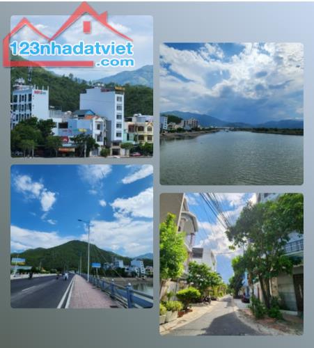 4245762 ảnh đại diện 1