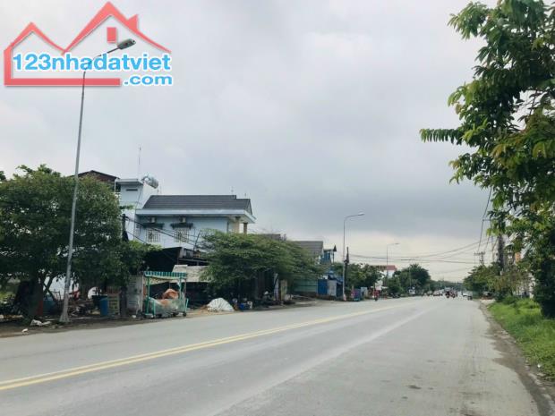 4243096 ảnh đại diện 1