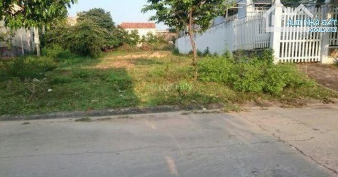 4243209 ảnh đại diện 1