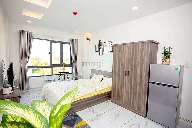 4243289 ảnh đại diện 2
