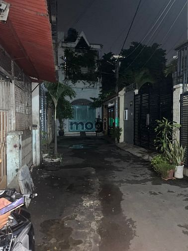 4243539 ảnh đại diện 1