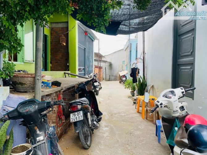 4242508 ảnh đại diện 1