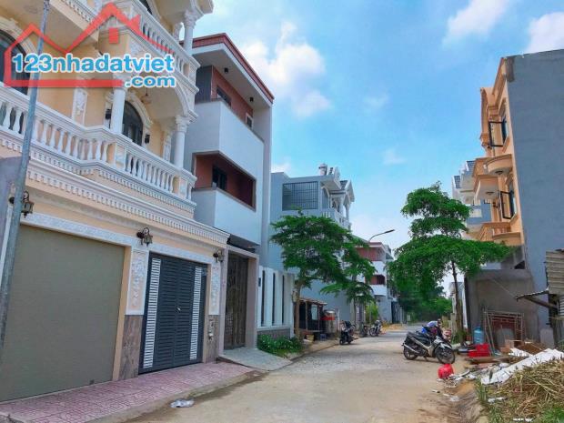 4244686 ảnh đại diện 1