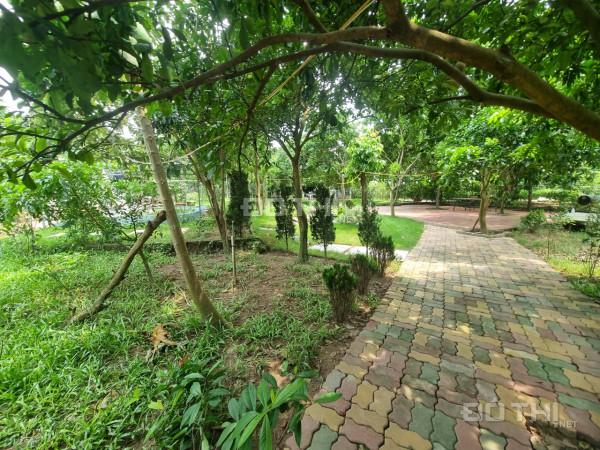 4244351 ảnh đại diện 1