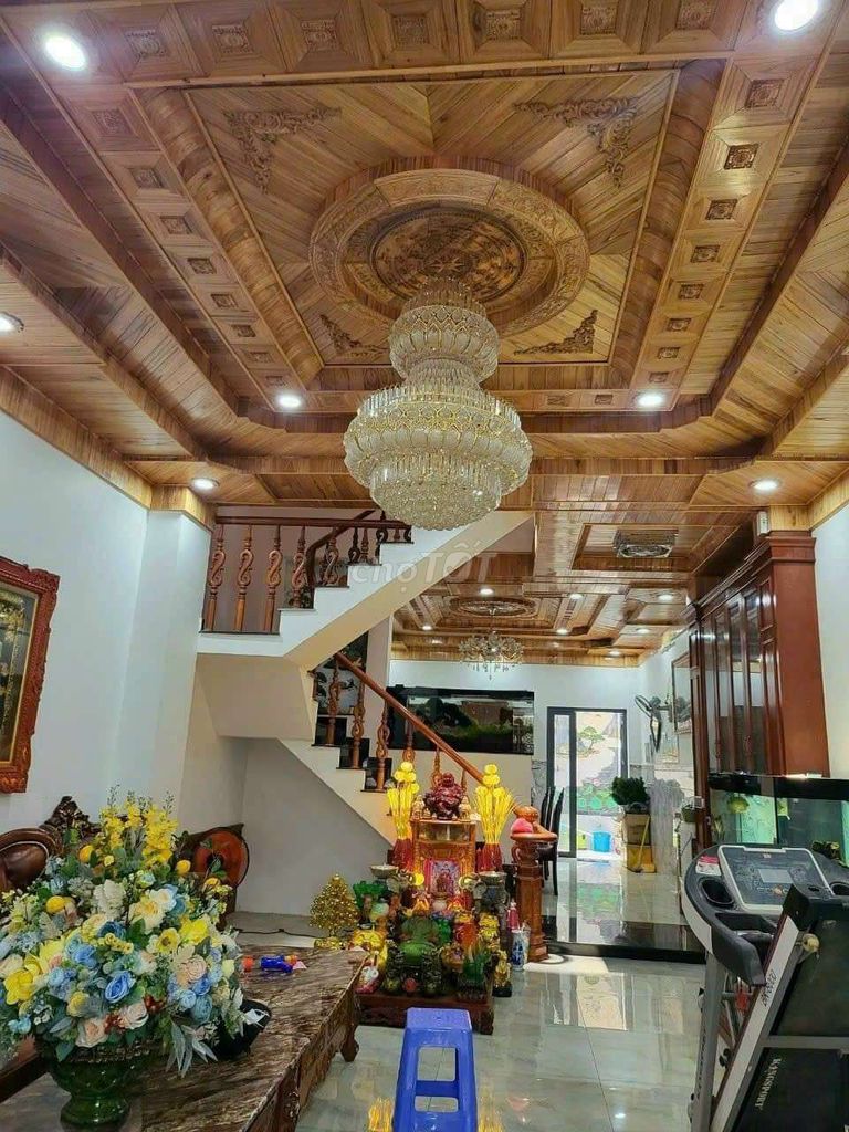 4242592 ảnh đại diện 1