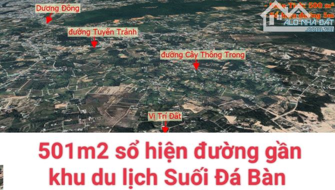 4243669 ảnh đại diện 1