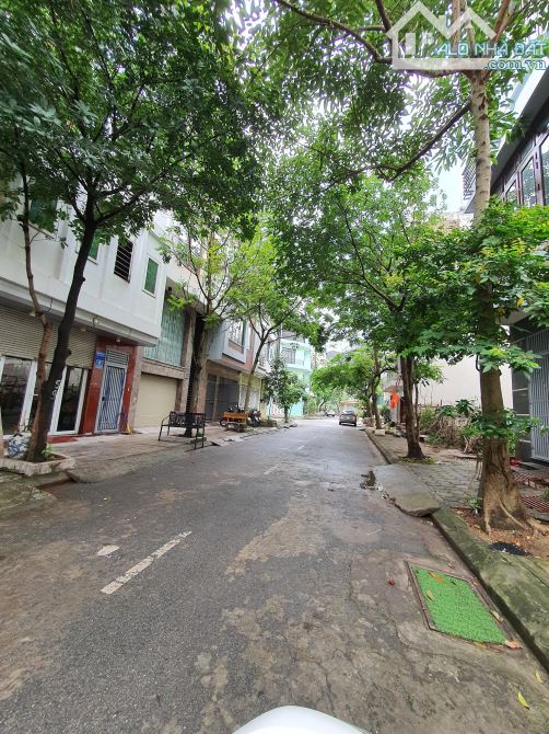 4244376 ảnh đại diện 2