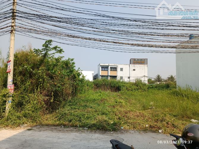 4243201 ảnh đại diện 1