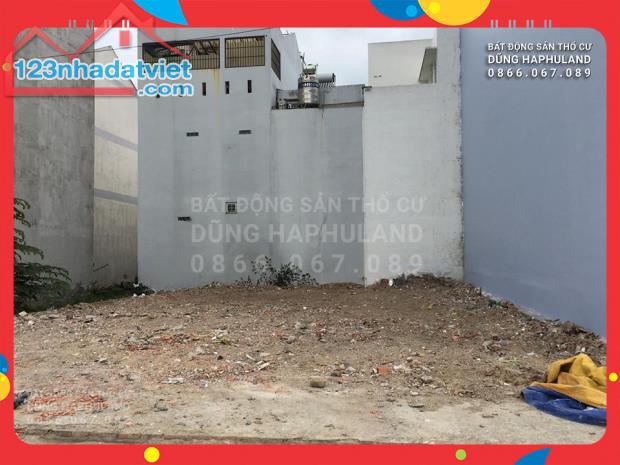 4244303 ảnh đại diện 2