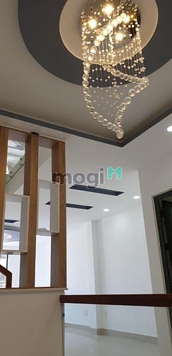 4244533 ảnh đại diện 1