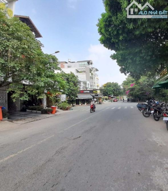 4242654 ảnh đại diện 2