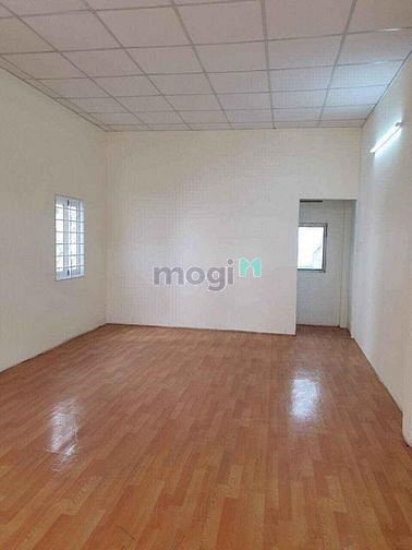4243946 ảnh đại diện 2